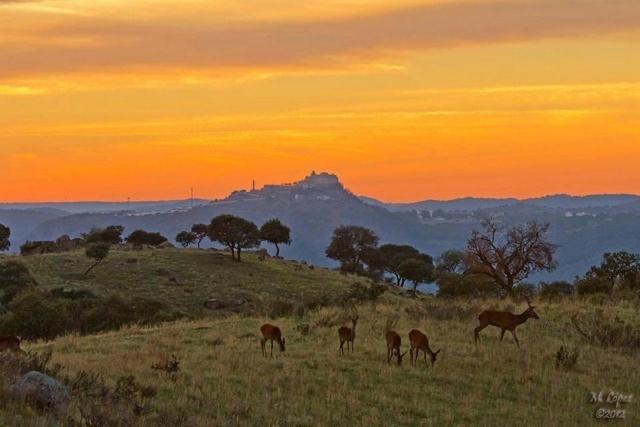 Alojamiento Rural Dehesa La Estancia Andújar Εξωτερικό φωτογραφία