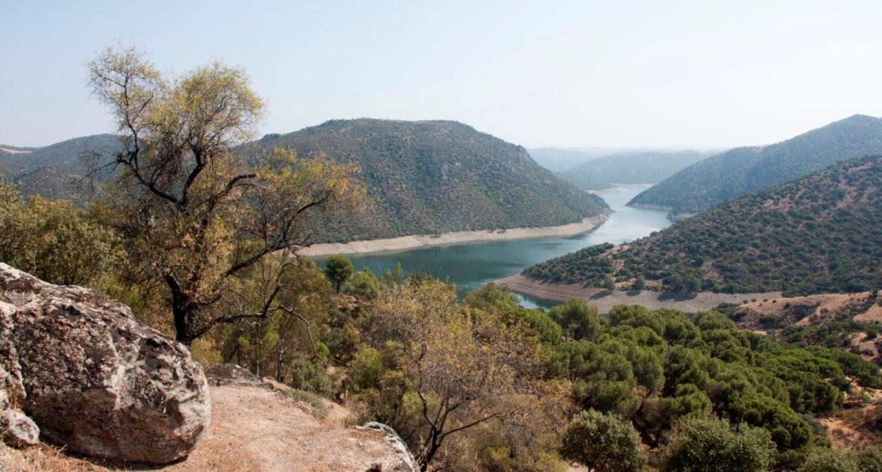 Alojamiento Rural Dehesa La Estancia Andújar Εξωτερικό φωτογραφία